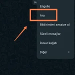 WhatsApp, Sohbette Arama Alanına Tarih Filtreleme Özelliği Eklendi